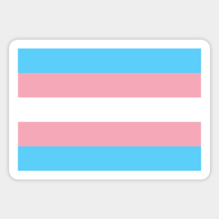 Trans Flag Magnet